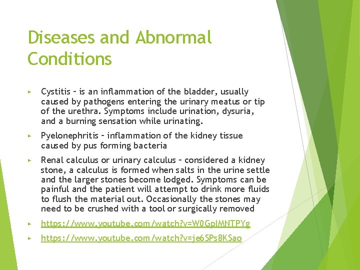 Diseases and Abnormal Conditions ▶ Cystitis – is an inflammation of the bladder, usually