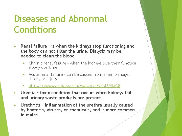 Diseases and Abnormal Conditions ▶ Renal failure – is when the kidneys stop functioning