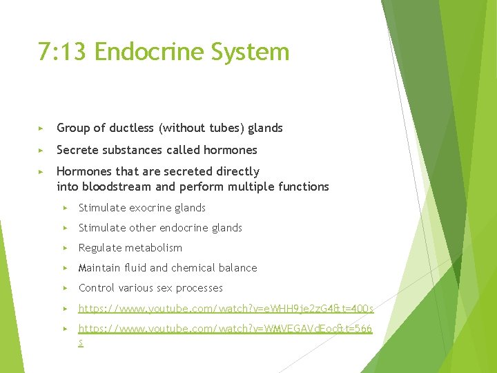 7: 13 Endocrine System ▶ Group of ductless (without tubes) glands ▶ Secrete substances