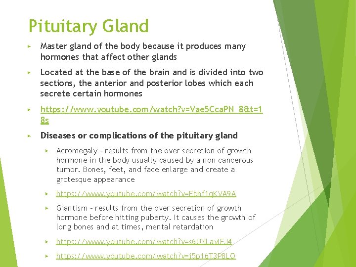 Pituitary Gland ▶ Master gland of the body because it produces many hormones that