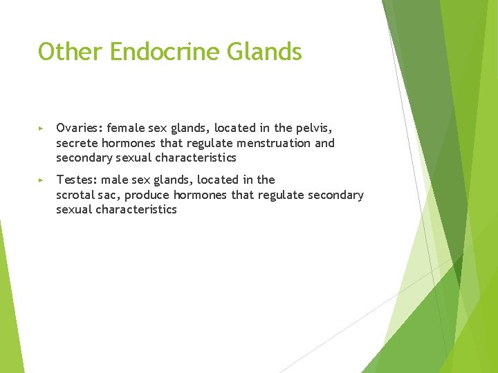 Other Endocrine Glands ▶ Ovaries: female sex glands, located in the pelvis, secrete hormones