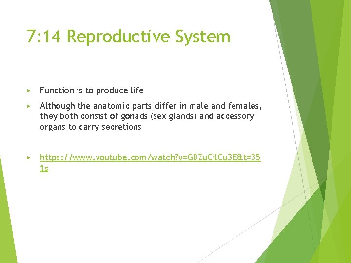 7: 14 Reproductive System ▶ Function is to produce life ▶ Although the anatomic
