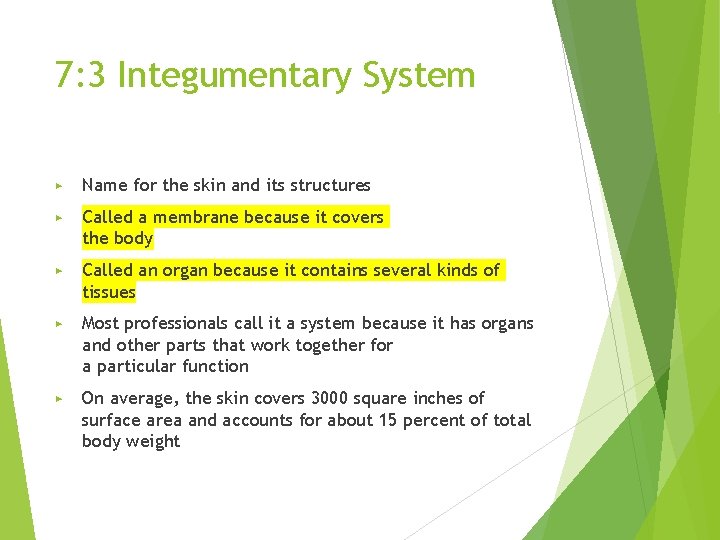 7: 3 Integumentary System ▶ Name for the skin and its structures ▶ Called