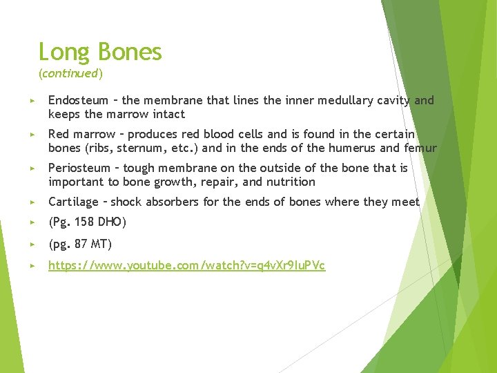 Long Bones (continued) ▶ Endosteum – the membrane that lines the inner medullary cavity