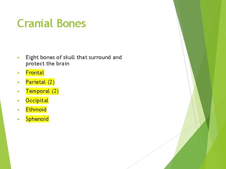 Cranial Bones ▶ Eight bones of skull that surround and protect the brain ▶