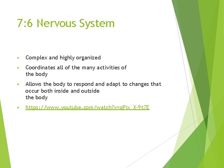 7: 6 Nervous System ▶ Complex and highly organized ▶ Coordinates all of the