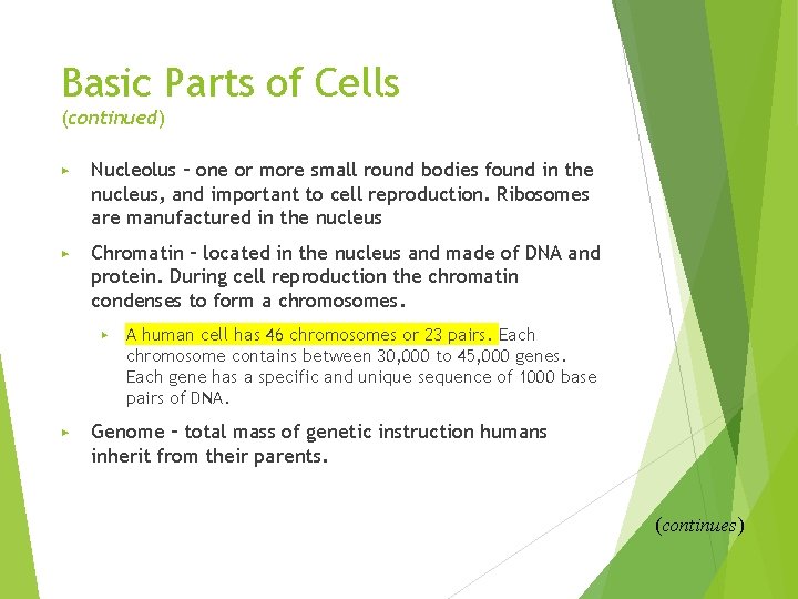 Basic Parts of Cells (continued) ▶ Nucleolus – one or more small round bodies