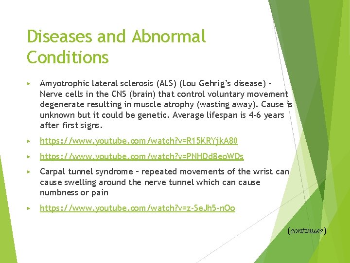 Diseases and Abnormal Conditions ▶ Amyotrophic lateral sclerosis (ALS) (Lou Gehrig’s disease) – Nerve