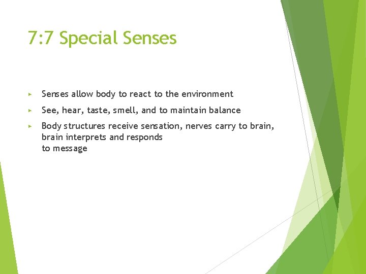 7: 7 Special Senses ▶ Senses allow body to react to the environment ▶
