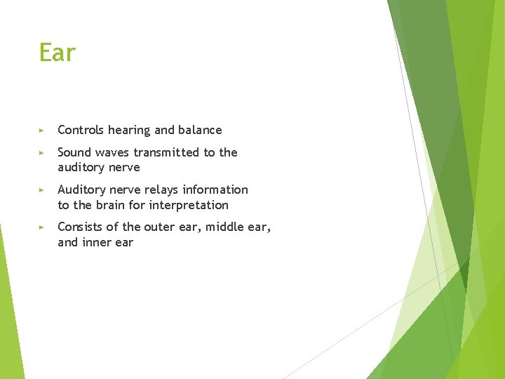 Ear ▶ Controls hearing and balance ▶ Sound waves transmitted to the auditory nerve