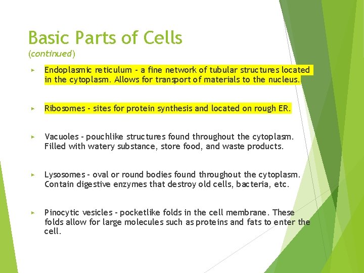 Basic Parts of Cells (continued) ▶ Endoplasmic reticulum – a fine network of tubular