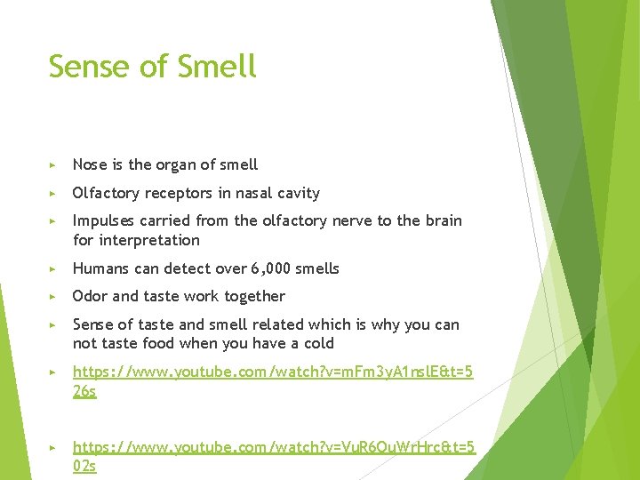 Sense of Smell ▶ Nose is the organ of smell ▶ Olfactory receptors in