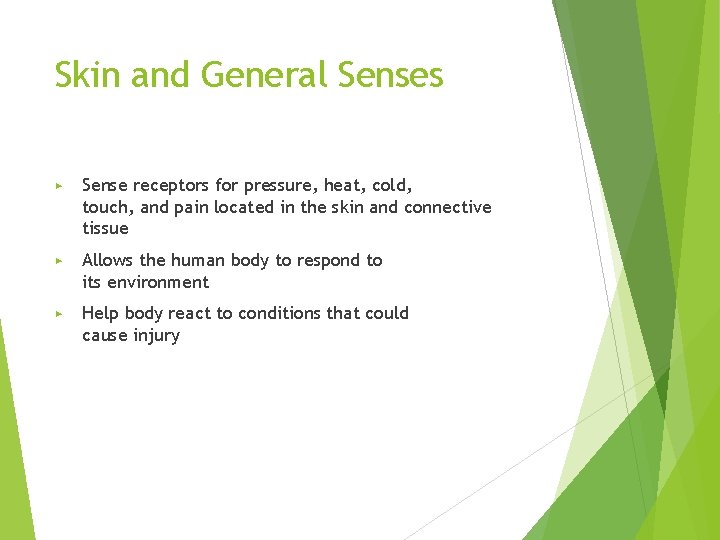 Skin and General Senses ▶ Sense receptors for pressure, heat, cold, touch, and pain