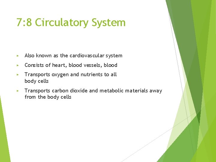 7: 8 Circulatory System ▶ Also known as the cardiovascular system ▶ Consists of