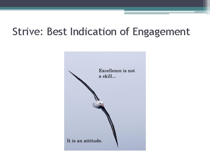 Strive: Best Indication of Engagement 
