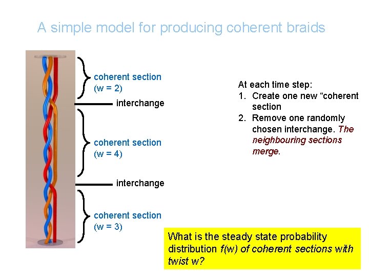 A simple model for producing coherent braids coherent section (w = 2) interchange coherent