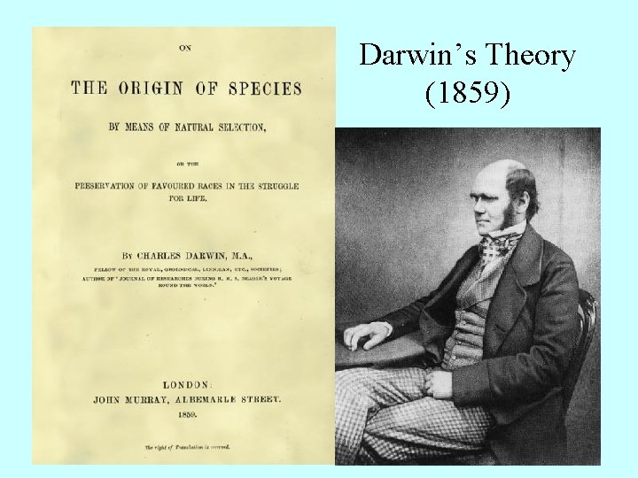Darwin’s Theory (1859) 