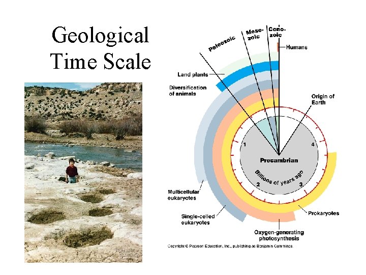 Geological Time Scale 