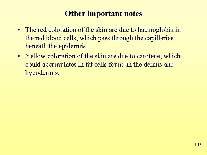 Other important notes • The red coloration of the skin are due to haemoglobin