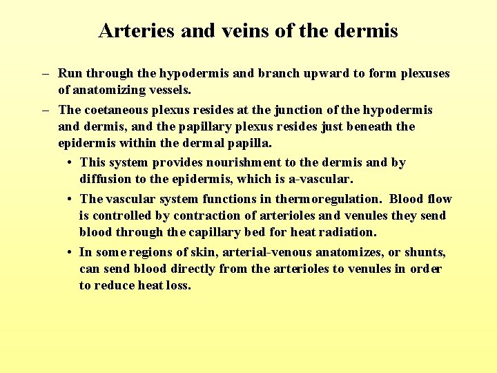 Arteries and veins of the dermis – Run through the hypodermis and branch upward