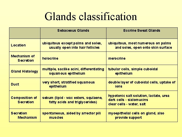 Glands classification Sebaceous Glands Eccrine Sweat Glands Location ubiquitous except palms and soles, usually