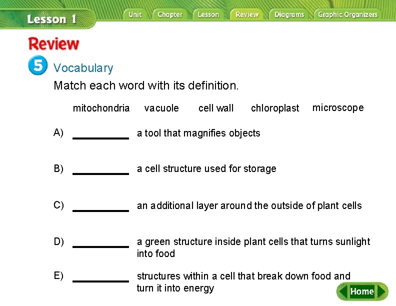 Review Vocabulary Match each word with its definition. mitochondria vacuole cell wall chloroplast microscope