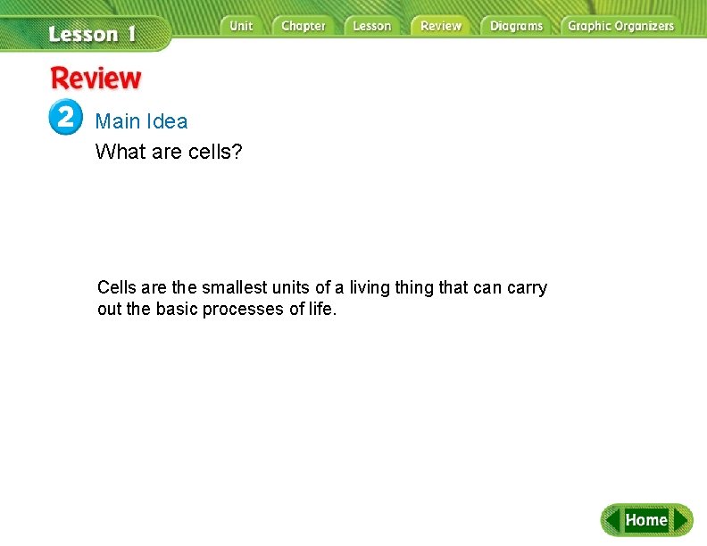 Review Main Idea What are cells? Cells are the smallest units of a living