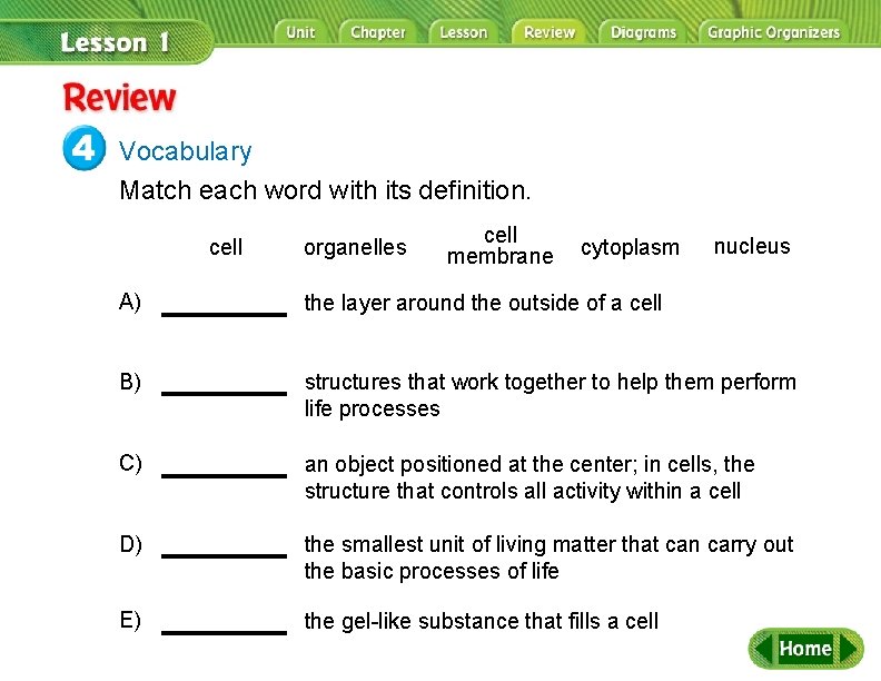 Review Vocabulary Match each word with its definition. cell organelles cell membrane cytoplasm nucleus