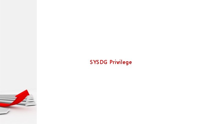 SYSDG Privilege 