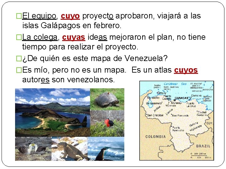 �El equipo, cuyo proyecto aprobaron, viajará a las islas Galápagos en febrero. �La colega,