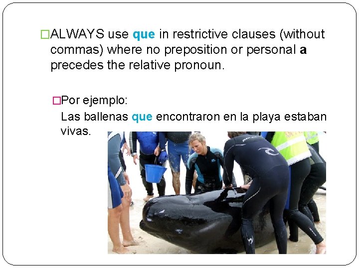 �ALWAYS use que in restrictive clauses (without commas) where no preposition or personal a
