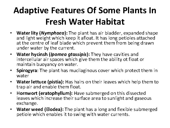 Adaptive Features Of Some Plants In Fresh Water Habitat • Water lity (Nymphaea): The