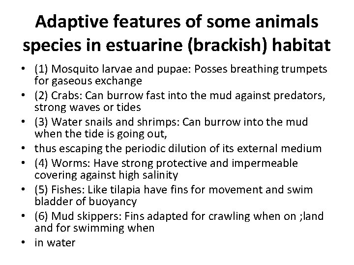Adaptive features of some animals species in estuarine (brackish) habitat • (1) Mosquito larvae