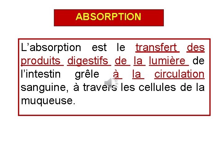 ABSORPTION L’absorption est le transfert des produits digestifs de la lumière de l’intestin grêle