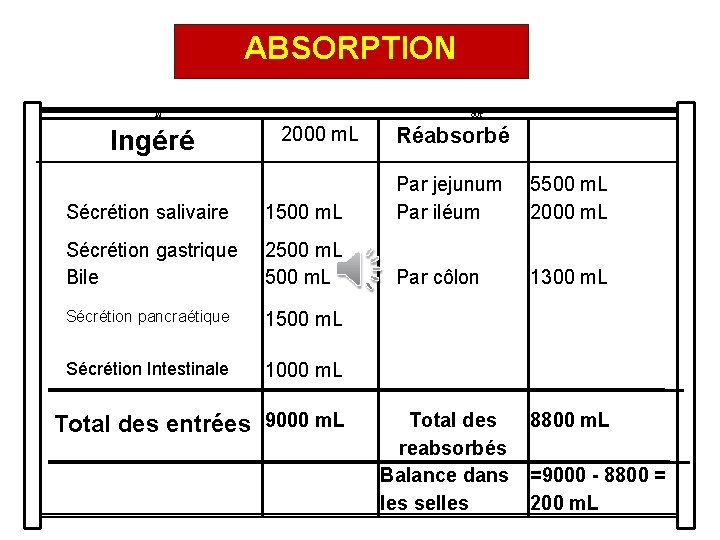 ABSORPTION IN Ingéré OUT 2000 m. L Réabsorbé Sécrétion salivaire 1500 m. L Par