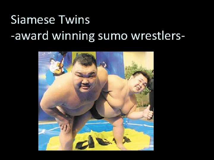 Siamese Twins -award winning sumo wrestlers- 