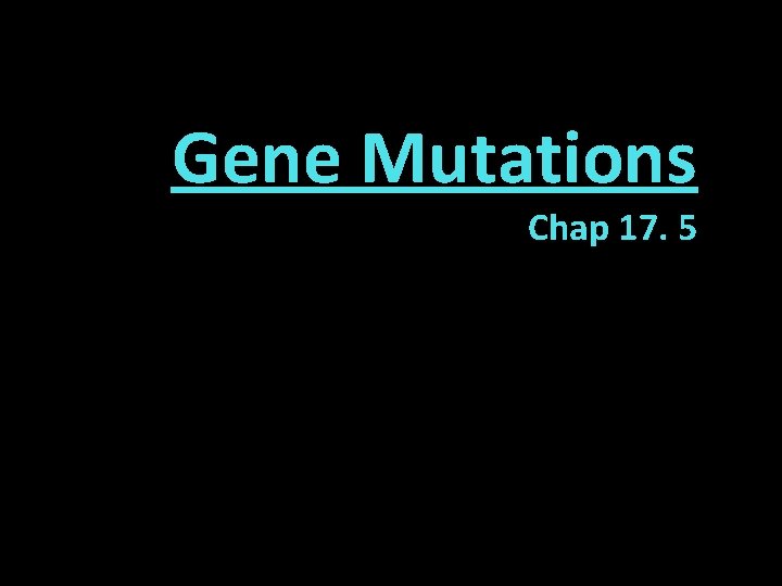 Gene Mutations Chap 17. 5 