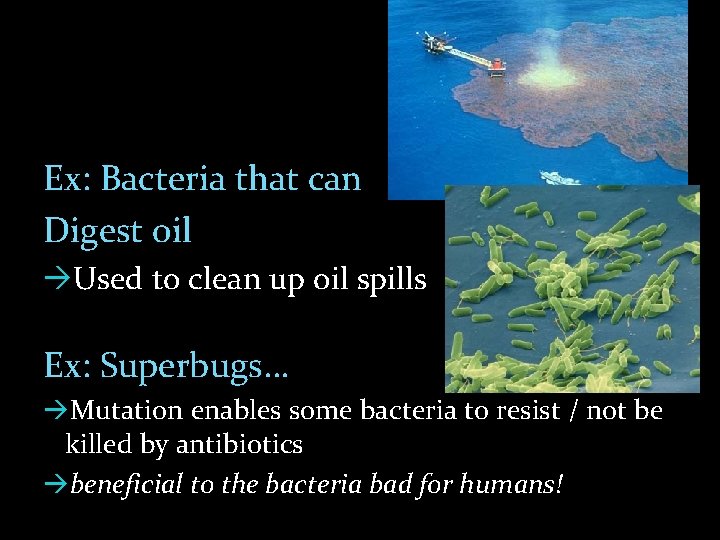 Ex: Bacteria that can Digest oil Used to clean up oil spills Ex: Superbugs…