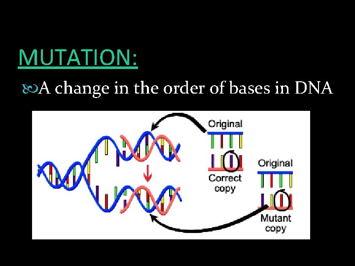 MUTATION: A change in the order of bases in DNA 