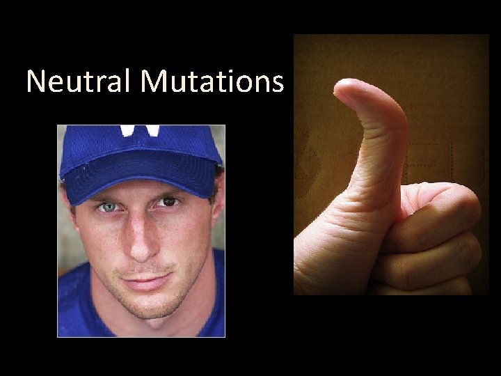 Neutral Mutations 