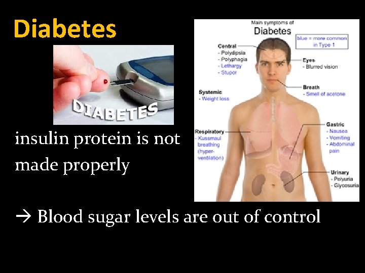 Diabetes insulin protein is not made properly Blood sugar levels are out of control