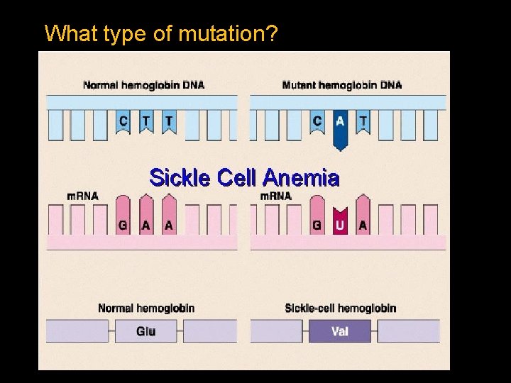 What type of mutation? 