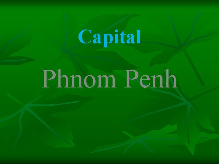 Capital Phnom Penh 