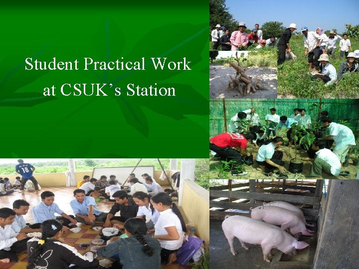 Student Practical Work at CSUK’s Station 