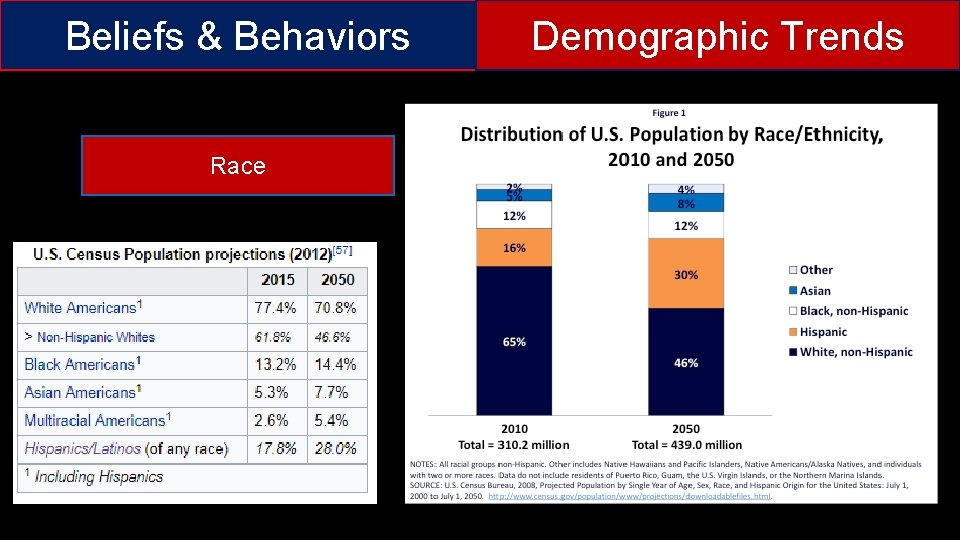 Beliefs & Behaviors Race Demographic Trends 