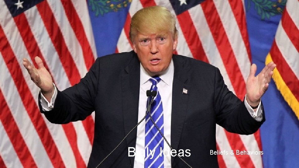 Bigly Ideas Beliefs & Behaviors Bigly Ideas Beliefs & Behaviors