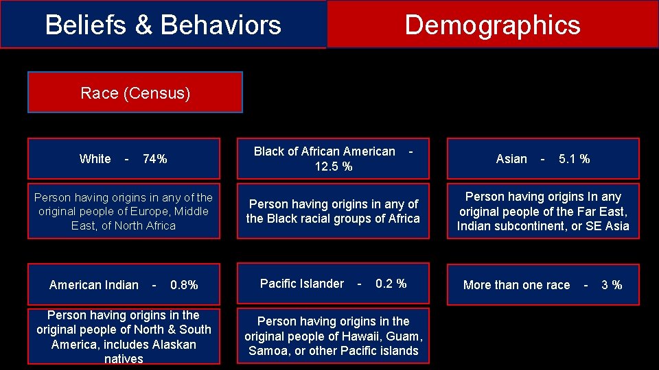 Beliefs & Behaviors Demographics Race (Census) White - Black of African American 12. 5