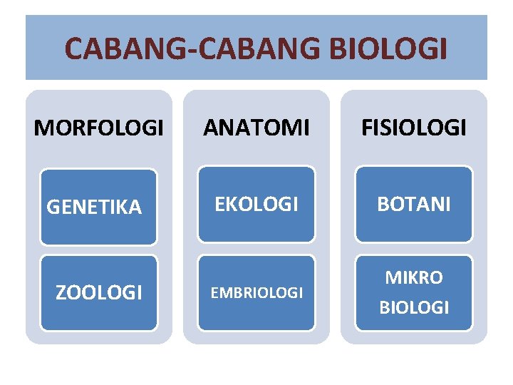 CABANG-CABANG BIOLOGI MORFOLOGI ANATOMI FISIOLOGI GENETIKA EKOLOGI BOTANI ZOOLOGI EMBRIOLOGI MIKRO BIOLOGI 