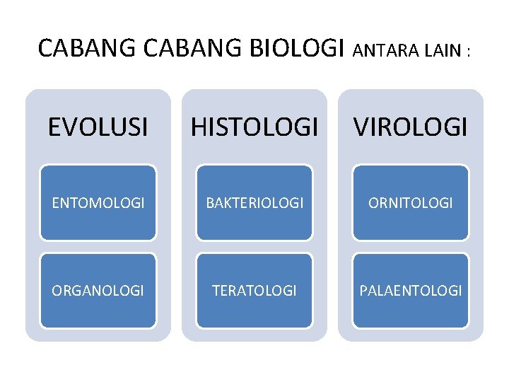 CABANG BIOLOGI ANTARA LAIN : EVOLUSI HISTOLOGI VIROLOGI ENTOMOLOGI BAKTERIOLOGI ORNITOLOGI ORGANOLOGI TERATOLOGI PALAENTOLOGI