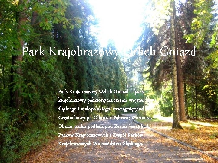 Park Krajobrazowy Orlich Gniazd – park krajobrazowy położony na terenie województwa śląskiego i małopolskiego,